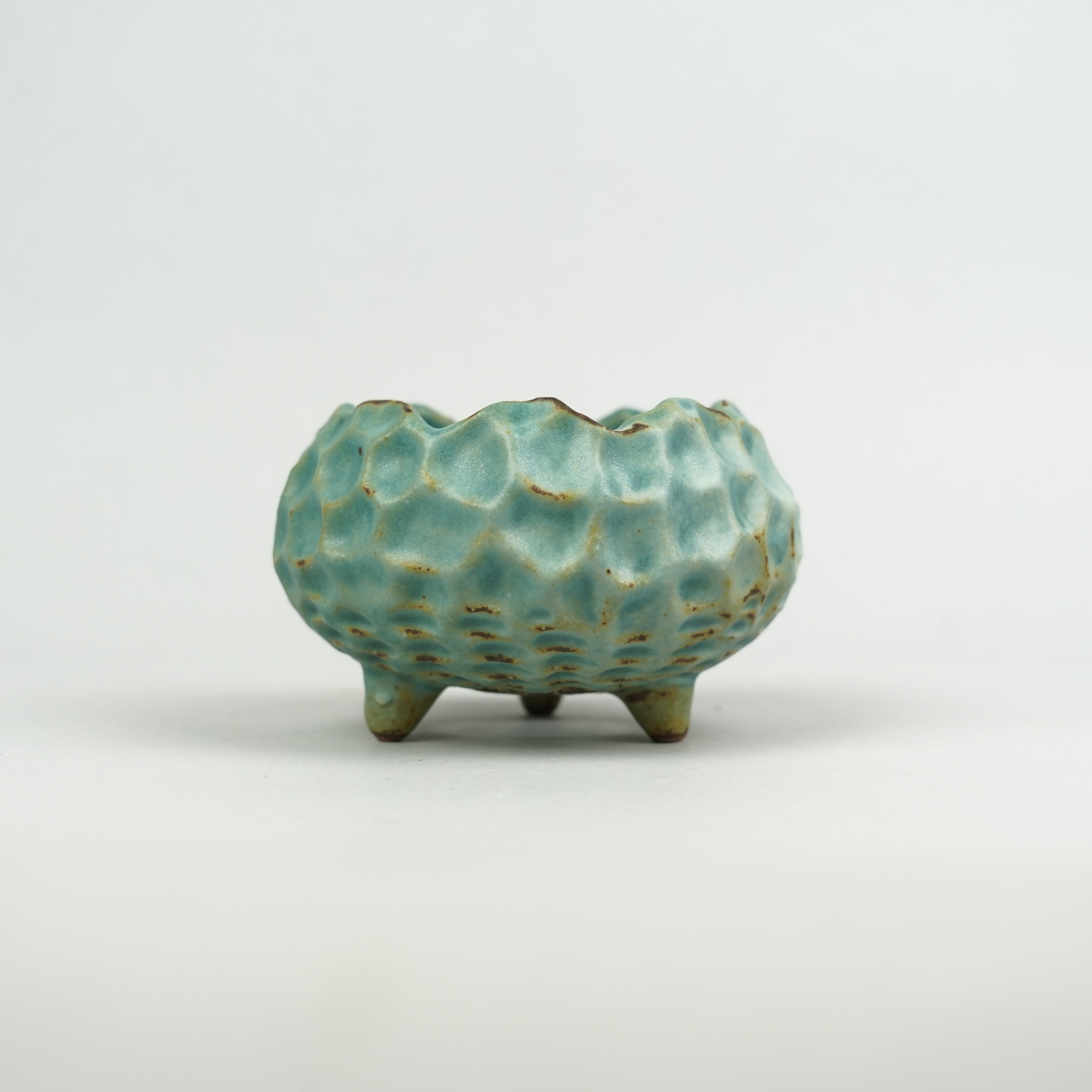 陶器鉢】shosho_植木鉢__49nSS8 – Hachi-8