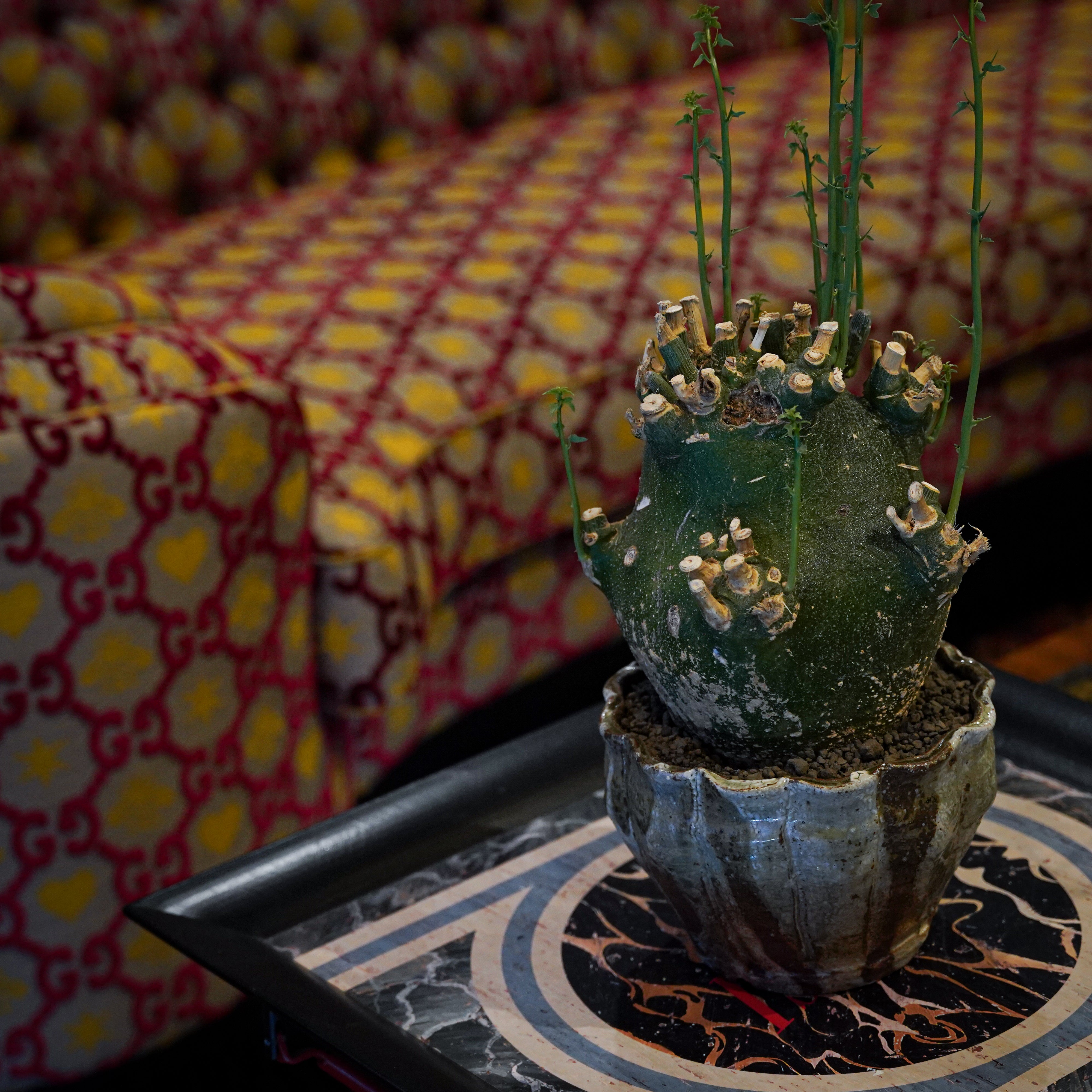 hachi-8-works – Hachi-8