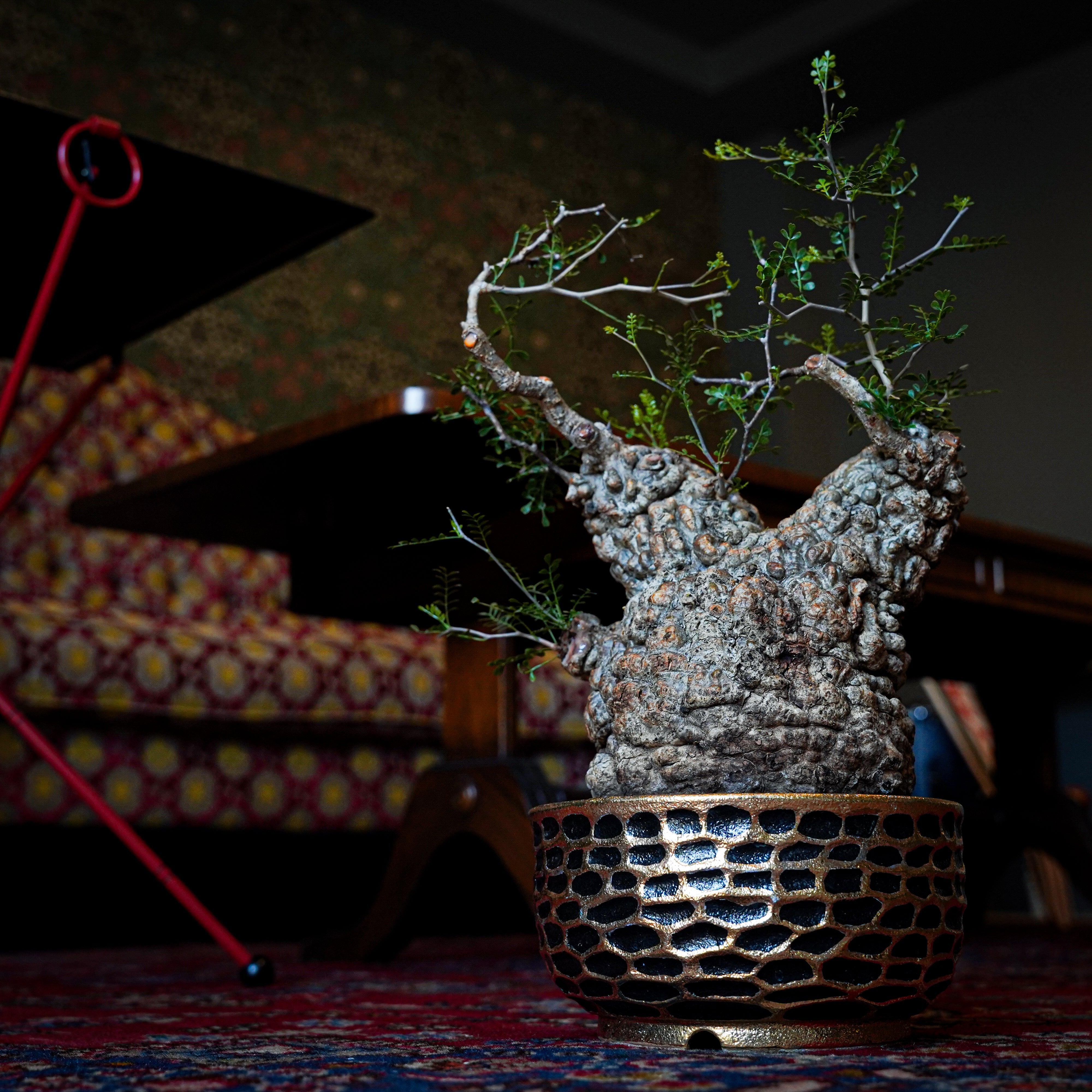 hachi-8-works – Hachi-8