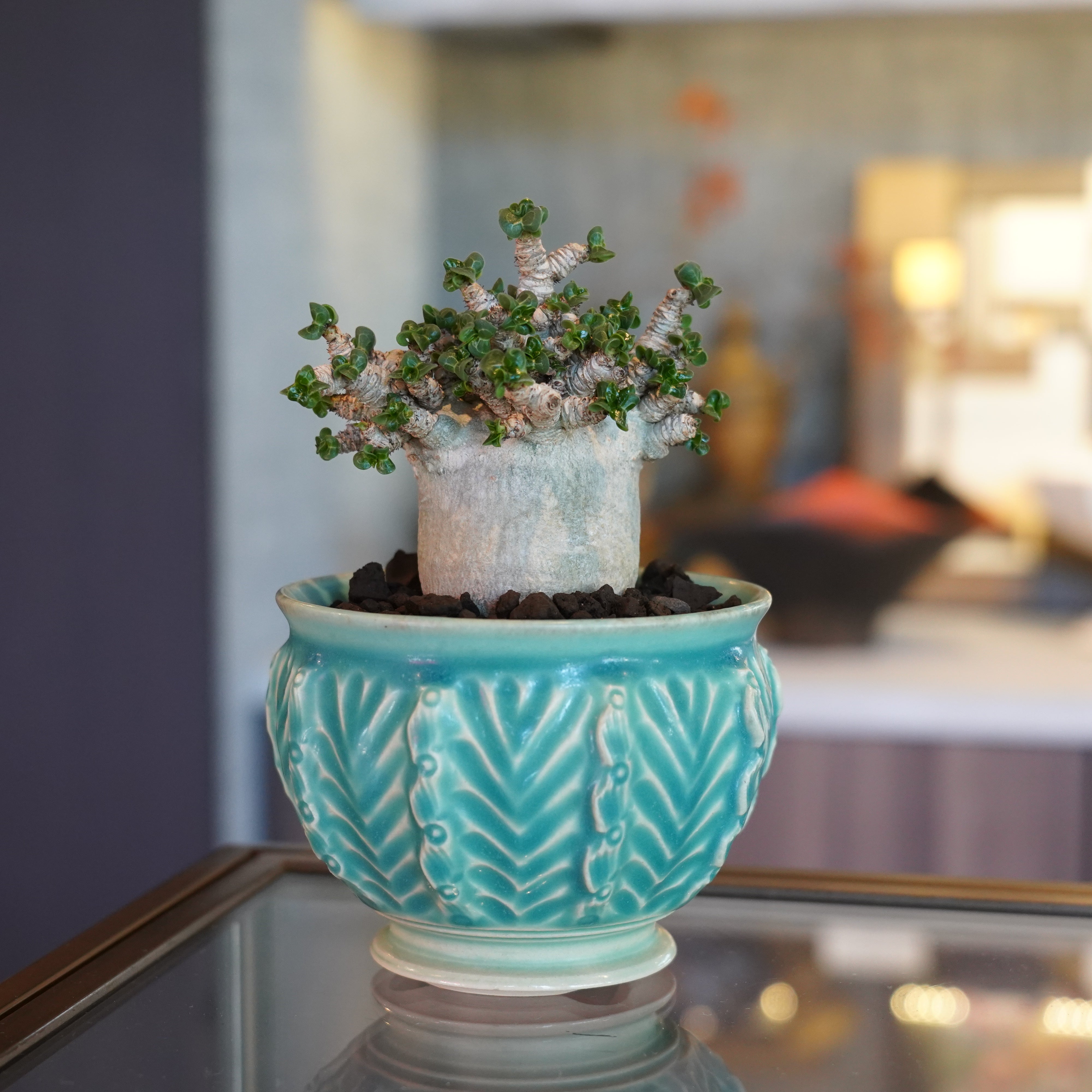 hachi-8-works – Hachi-8