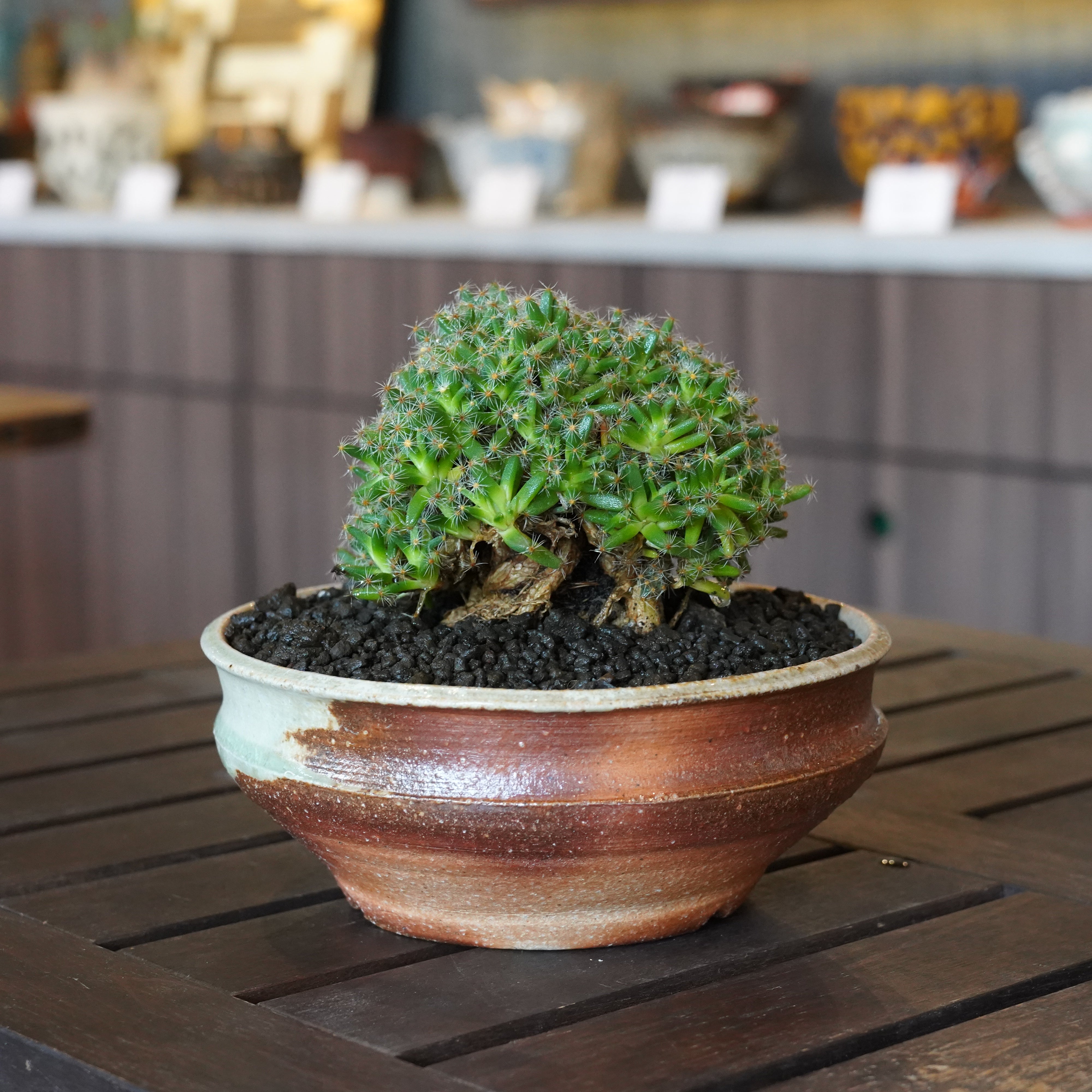 hachi-8-works – Hachi-8