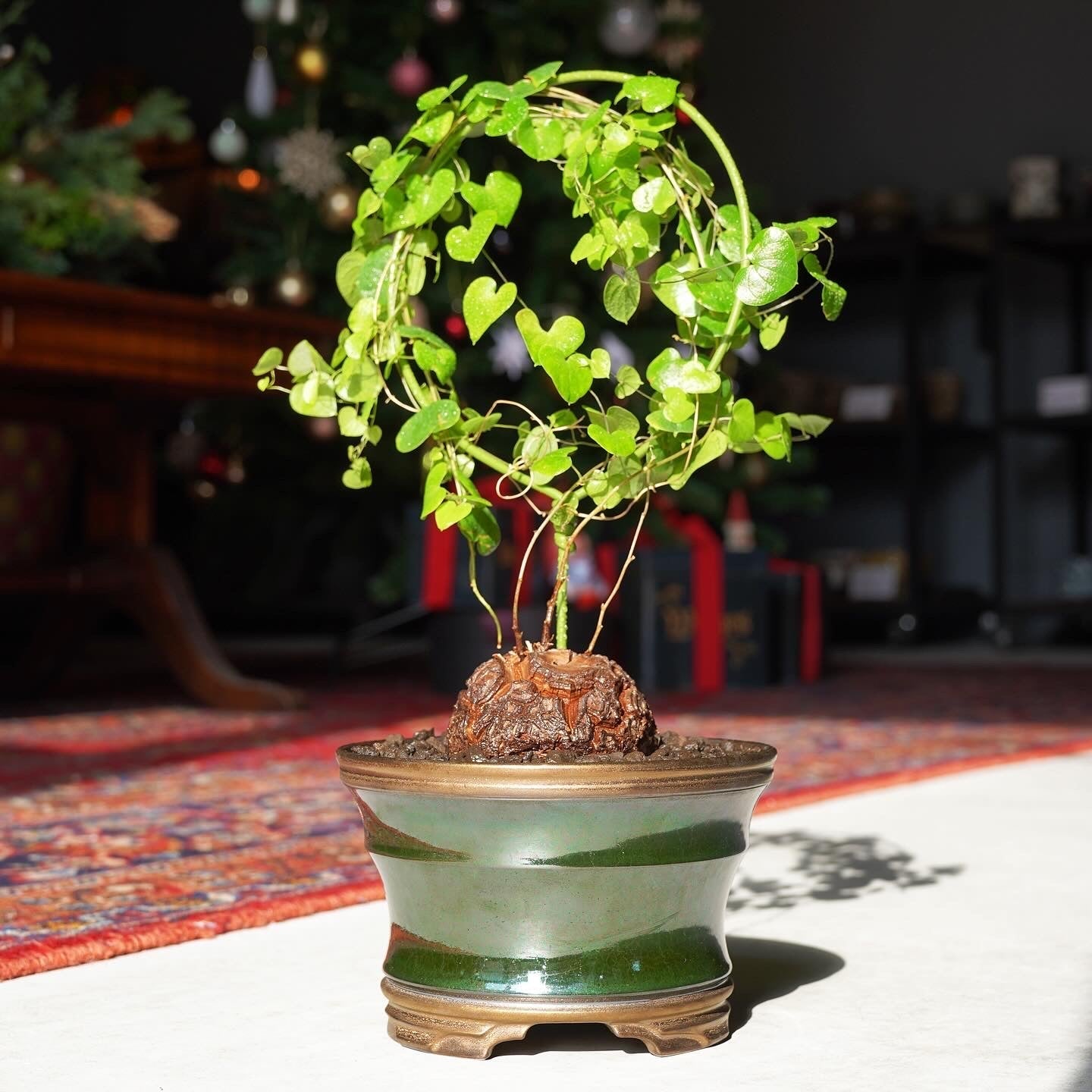 HACHI-8 WORKS – Hachi-8