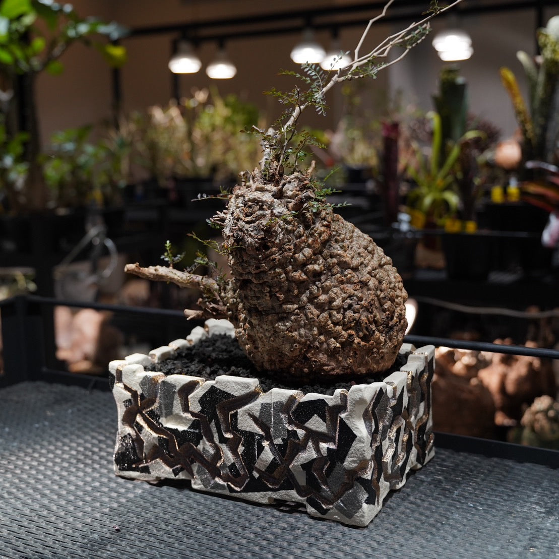 hachi-8-works – Hachi-8