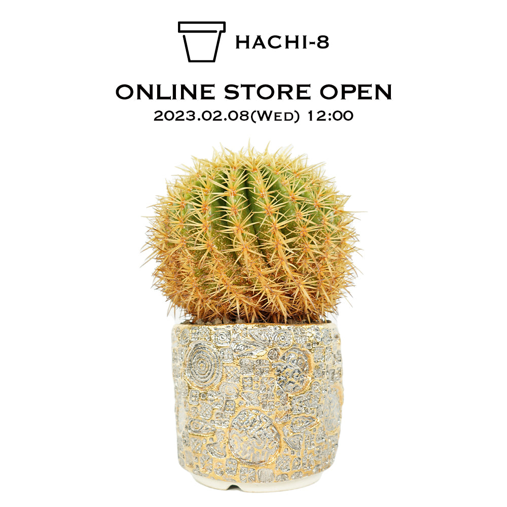 HACHI-8 オンラインストアをオープンしました。