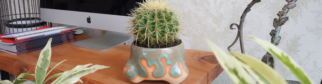 NBHD SRL 植木鉢 20cm インテリア ネイバーフッド SRLの男前な園芸ギア