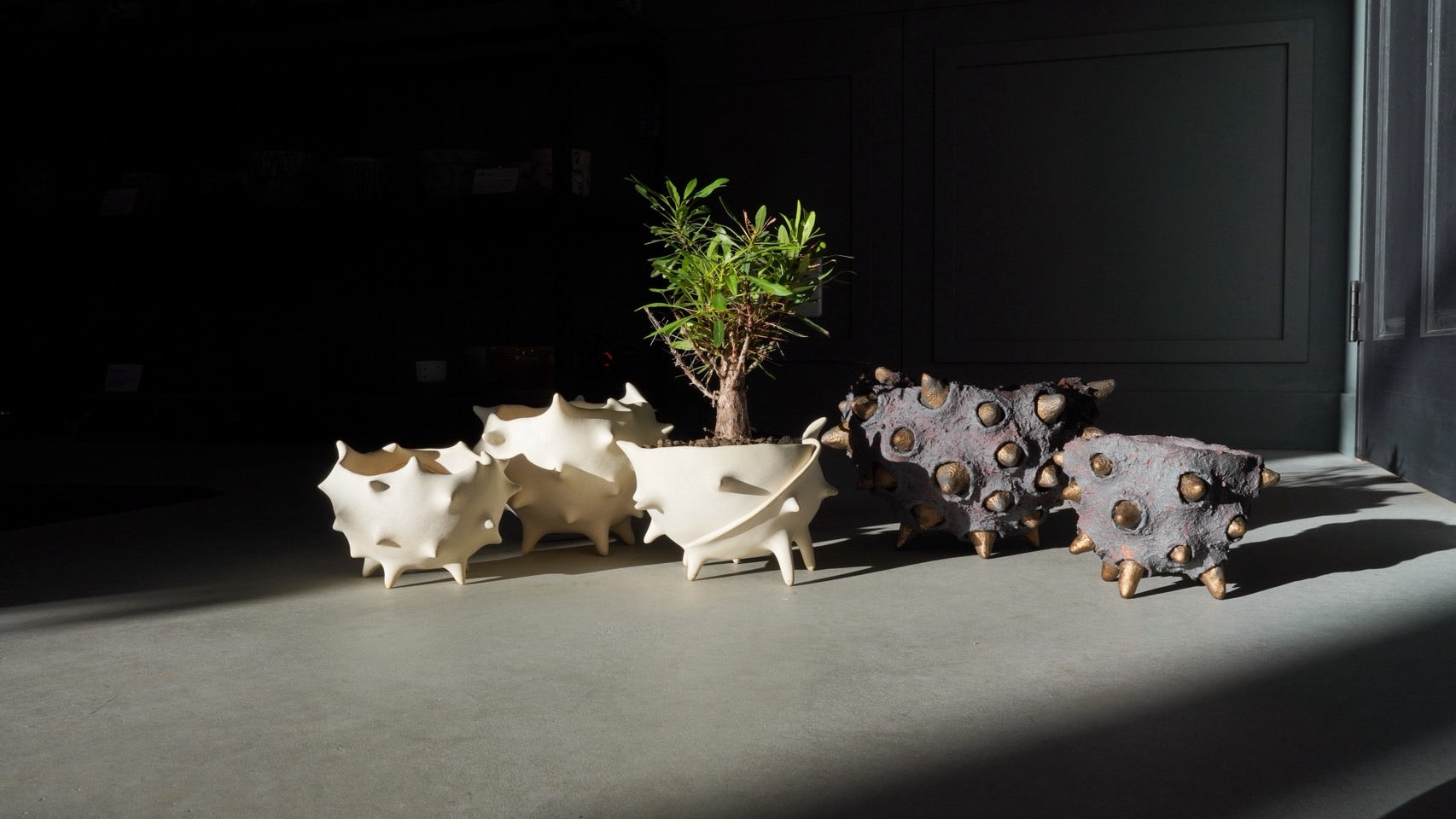 植木鉢/15nKY – Hachi-8