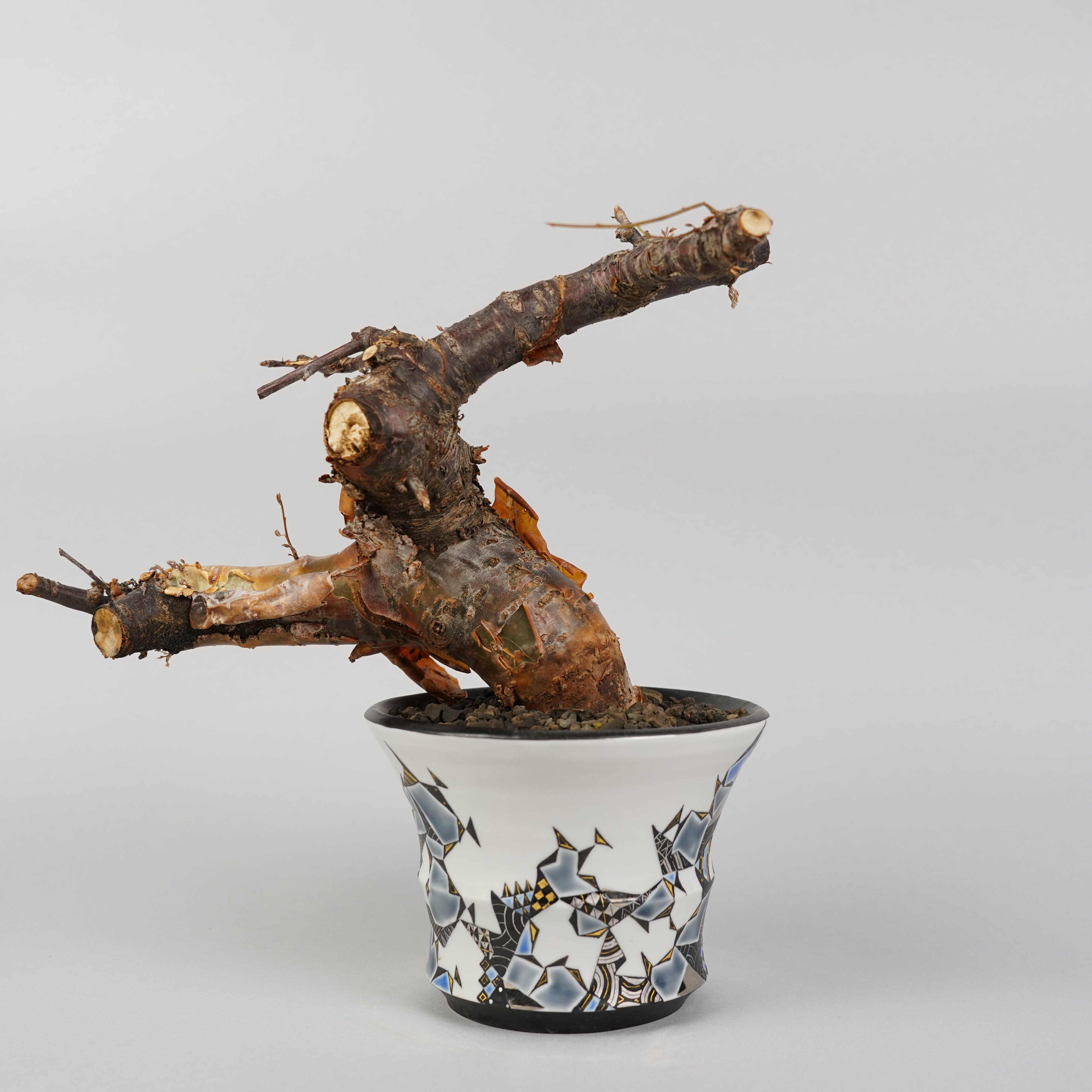 plantpot – Hachi-8