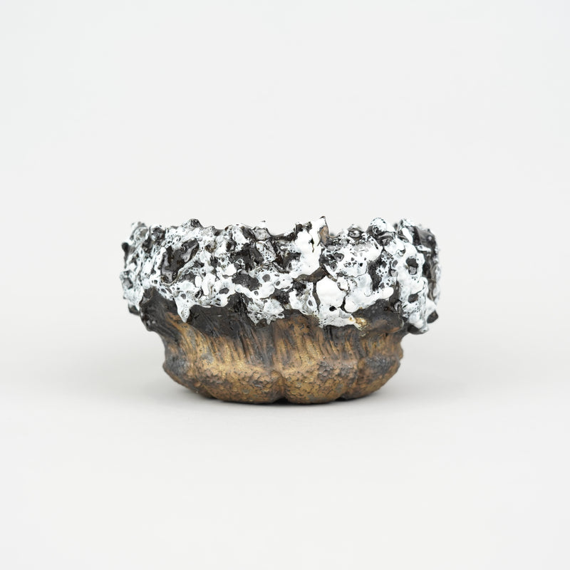 【陶器鉢】琳々助_植木鉢_52nRS38