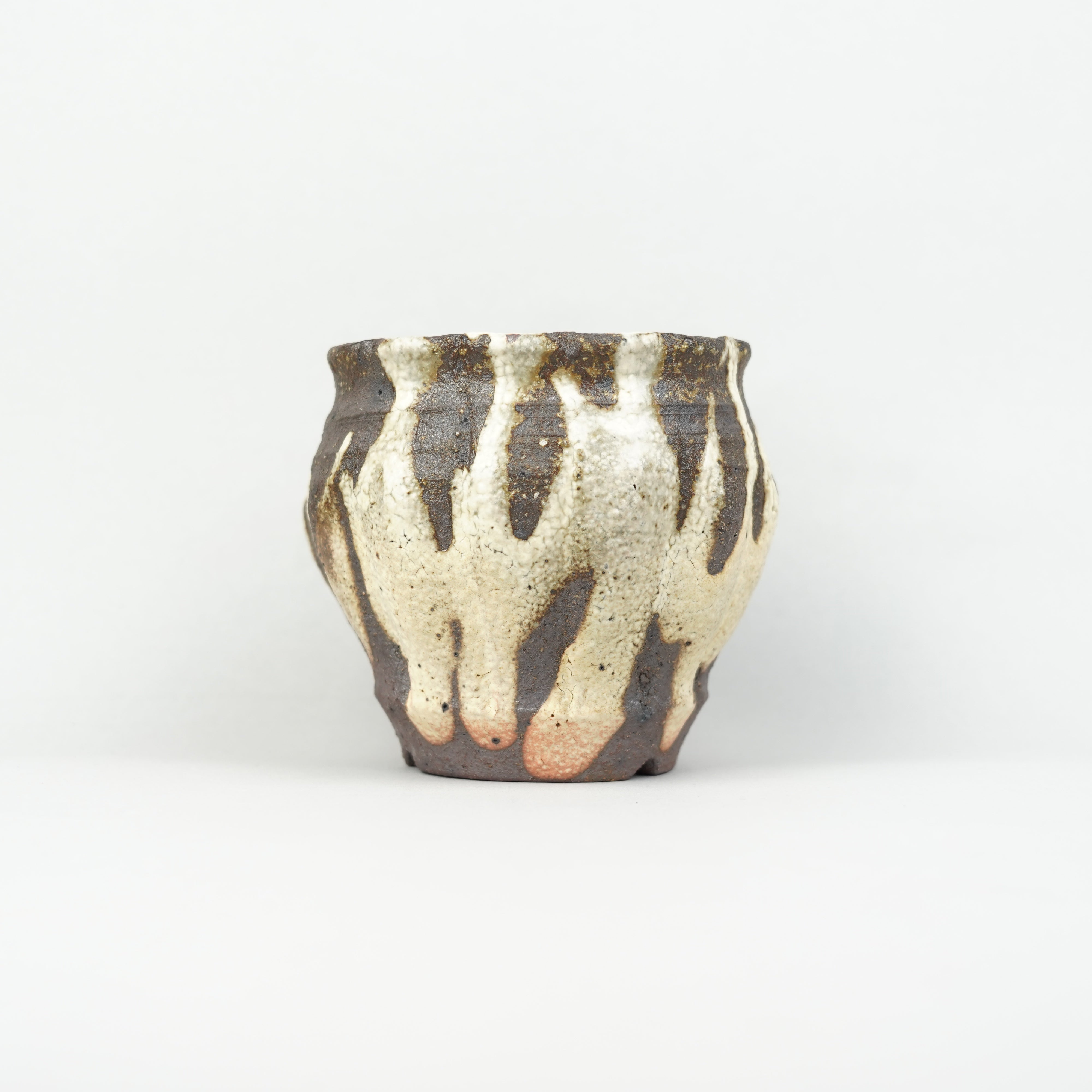 おしゃれな植木鉢や珍しい観葉植物を販売｜鉢と植物専門店 HACHI-8