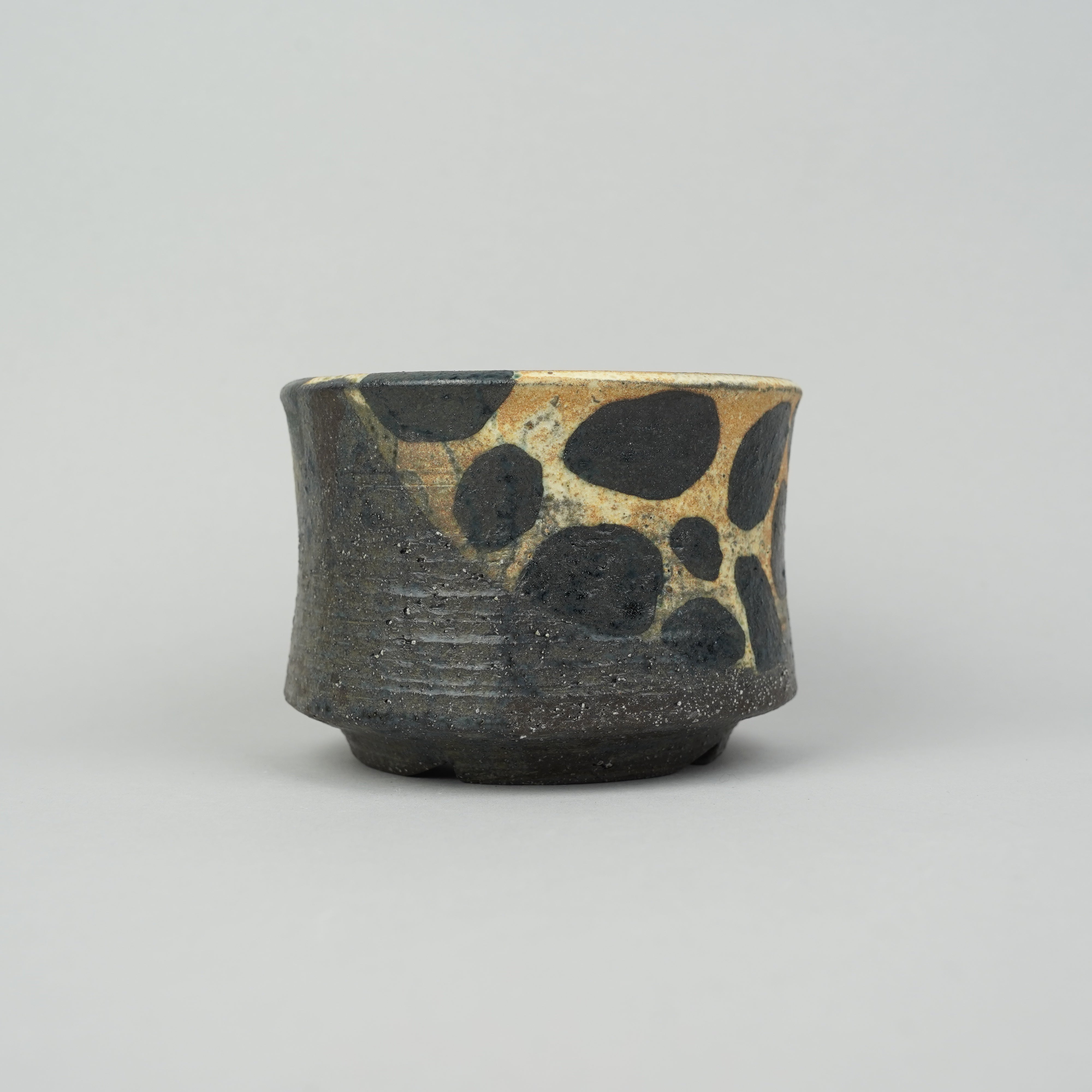 鉢と植物専門店 HACHI-8【公式通販】｜塊根植物・パキポディウム