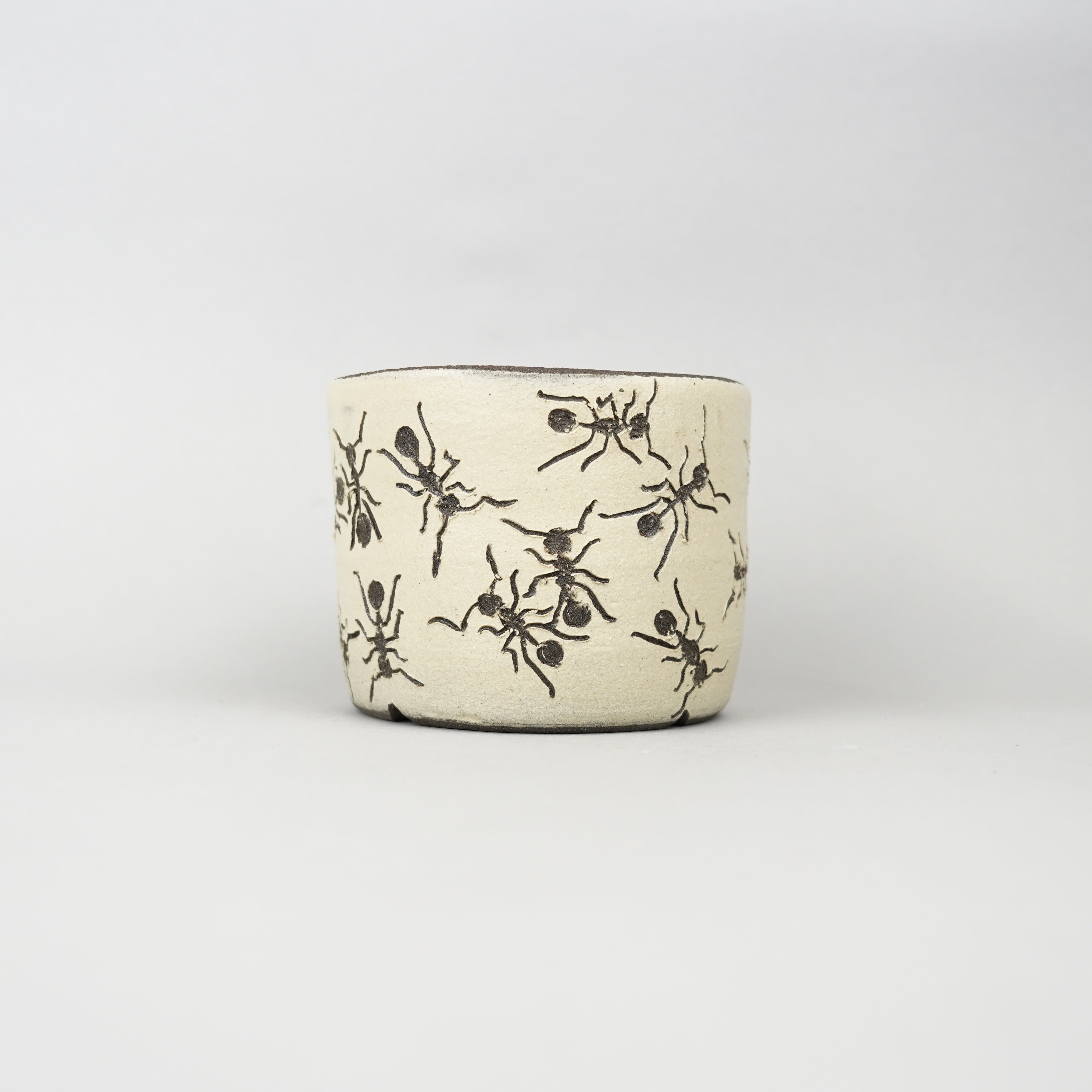 植木鉢/29nSK-蝉殻 – Hachi-8