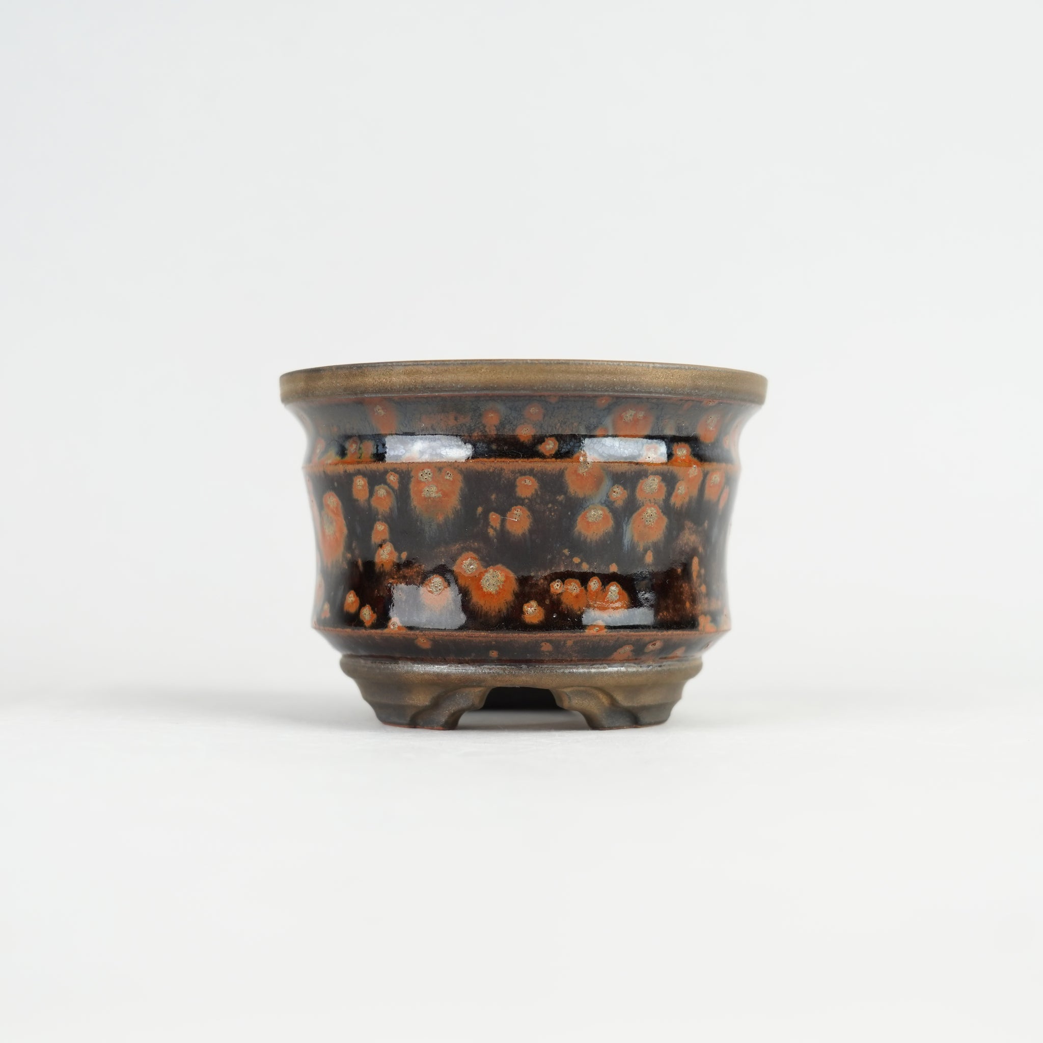 NewArrival – Hachi-8