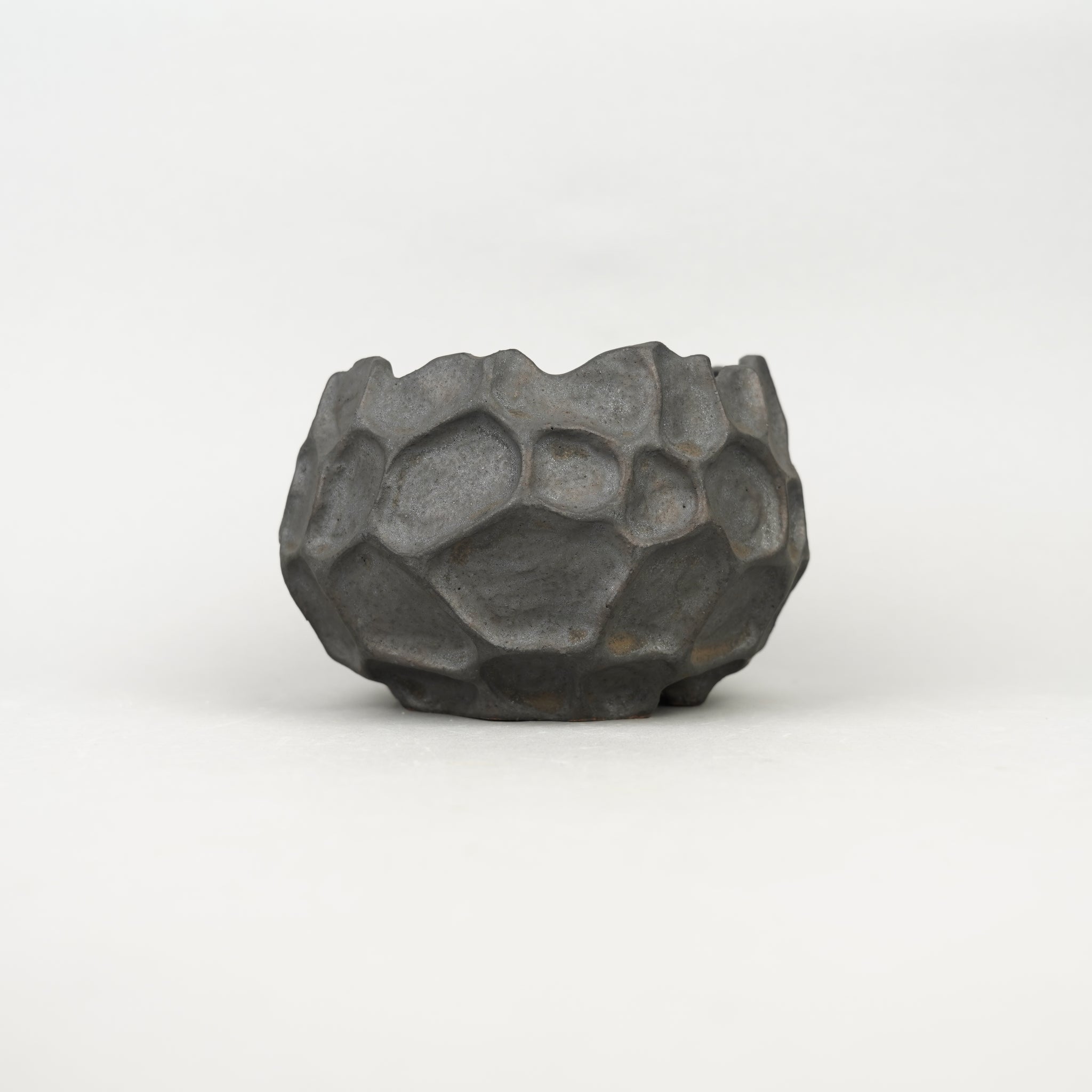 【HACHI-8賞】shosho 海_HACHI-8鉢展2025_セレクトプランツ