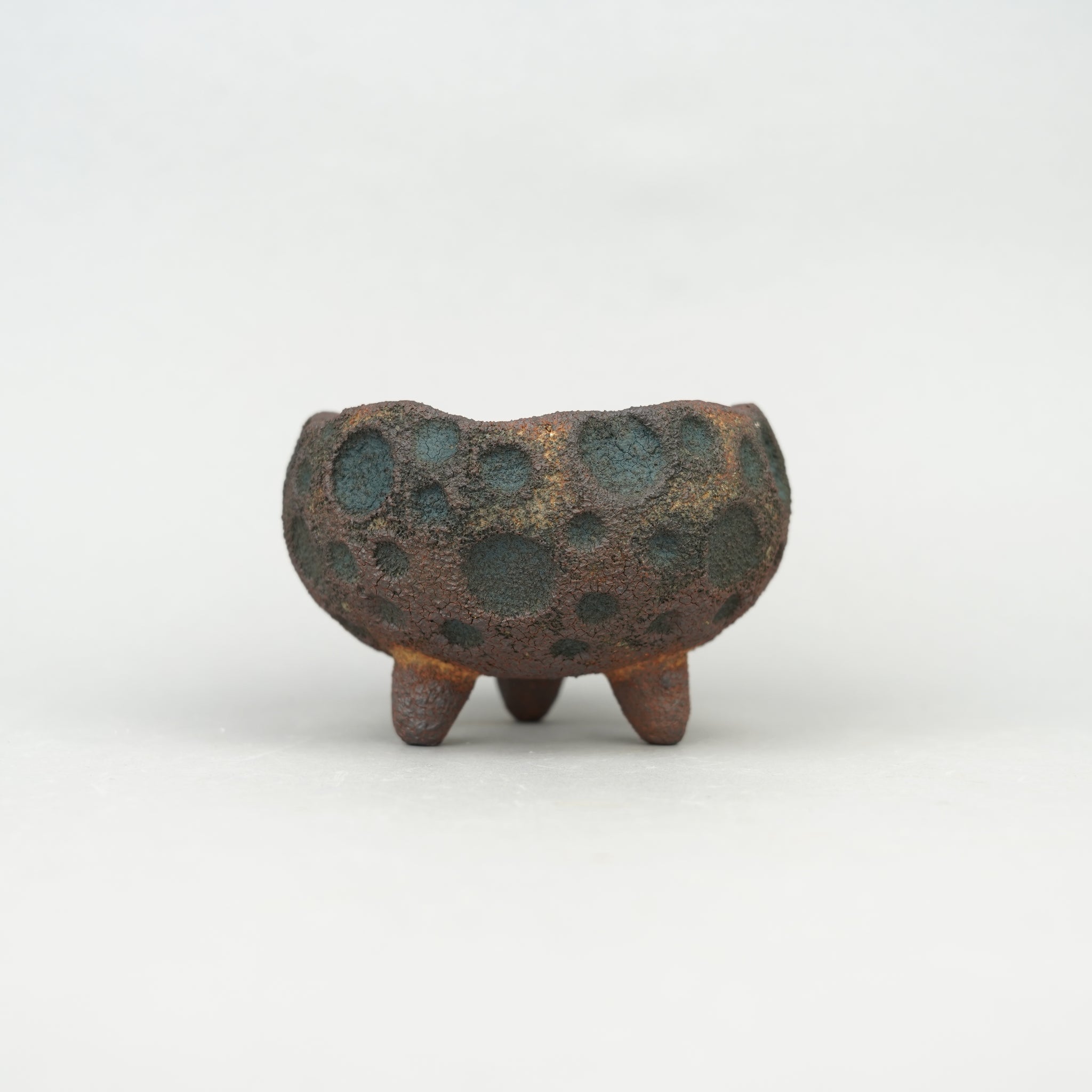 【HACHI-8賞】shosho 星_HACHI-8鉢展2025_自由創作