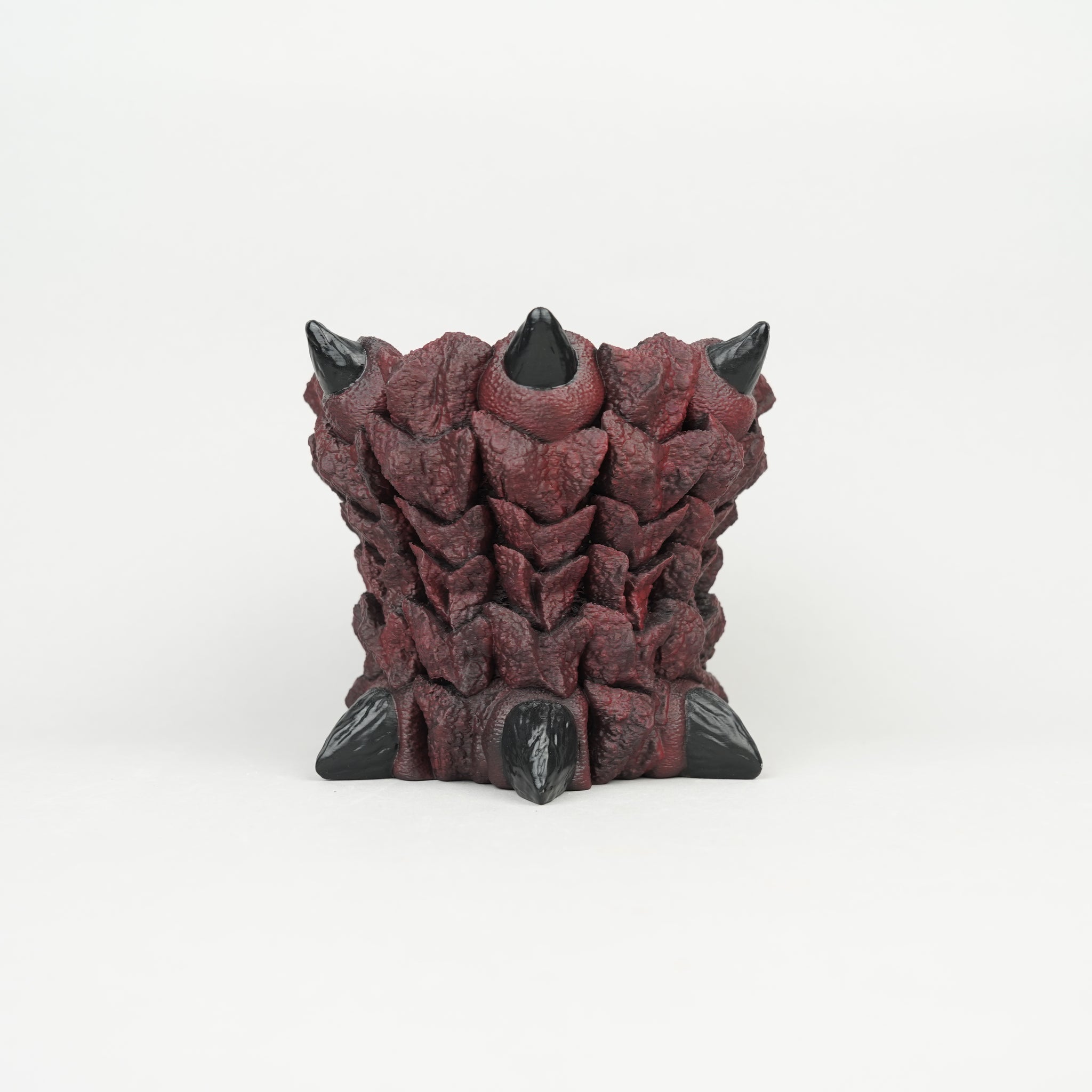 KONY 怪獣_HACHI-8鉢展2025_セレクトプランツ