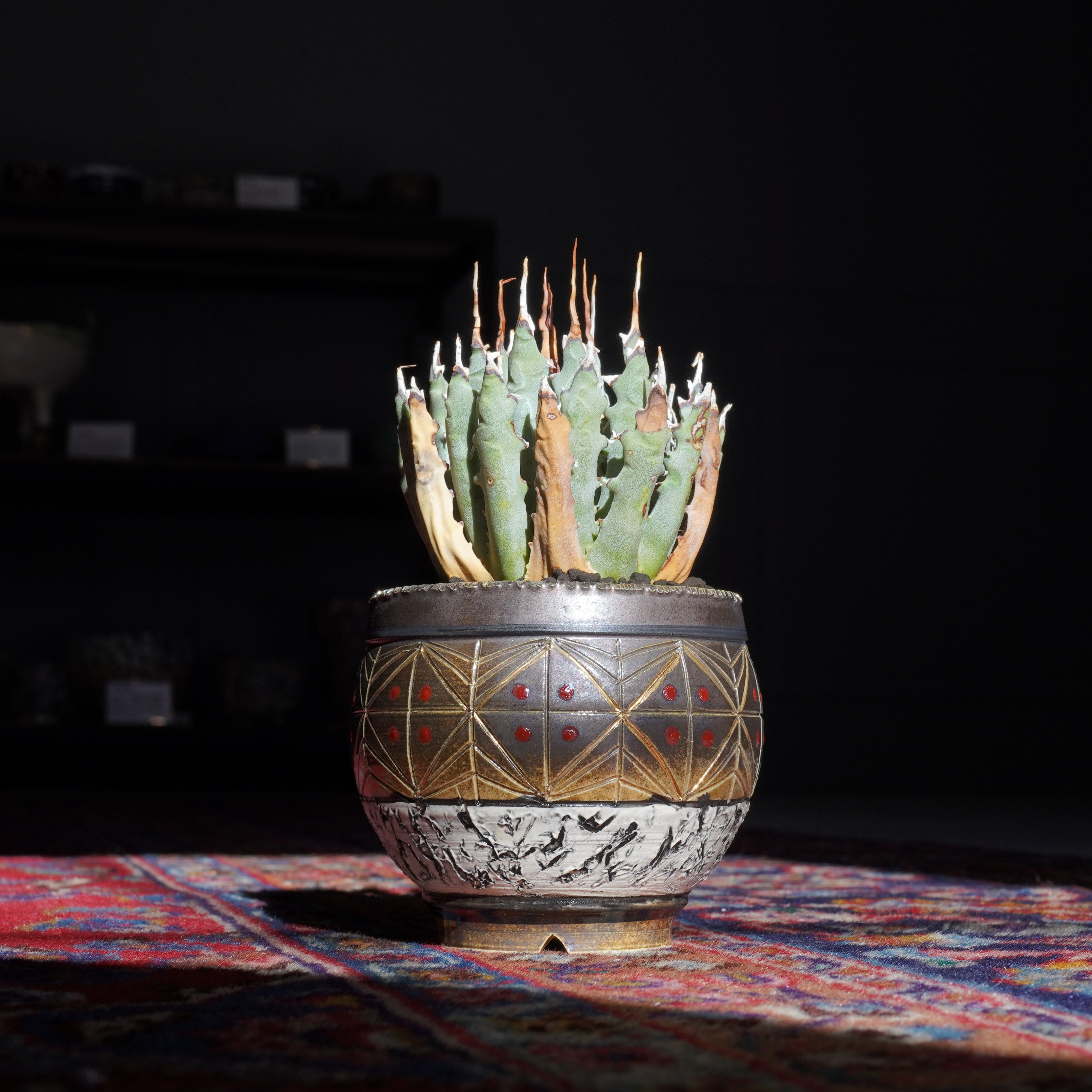 おしゃれな植木鉢や珍しい観葉植物を販売｜鉢と植物専門店 HACHI-8