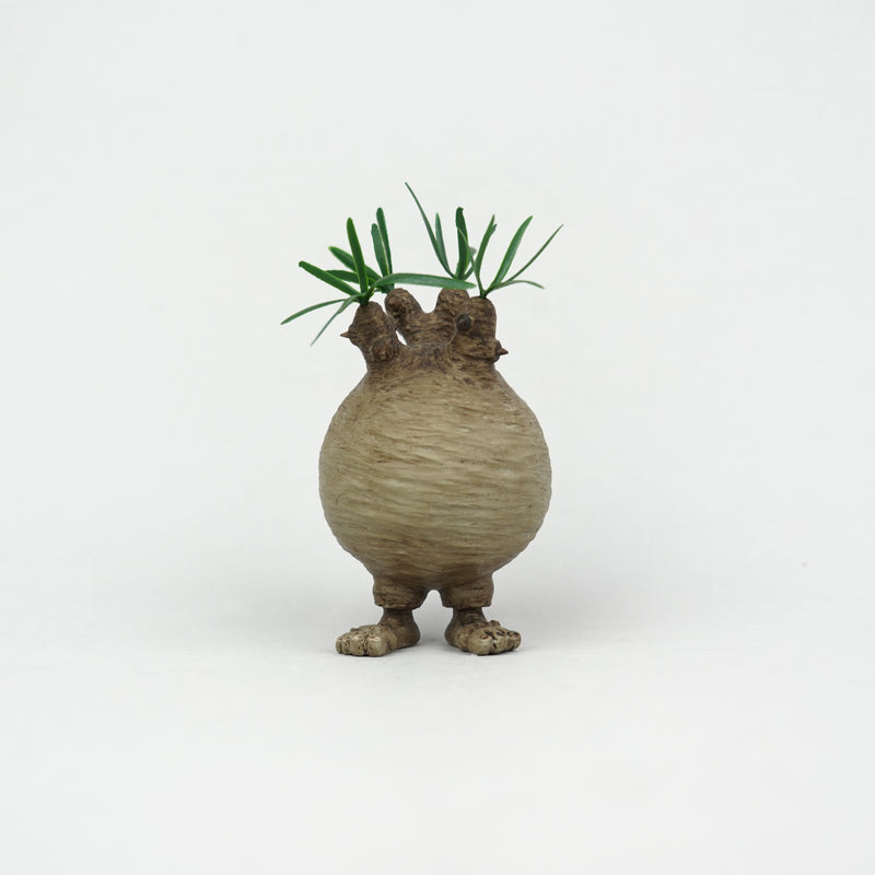 【フィギュア】OddToyWorks_グラクリくん「Gracilius Creature」