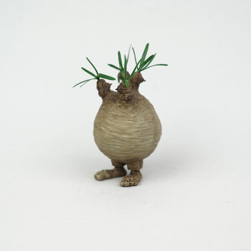 【フィギュア】OddToyWorks_グラクリくん「Gracilius Creature」