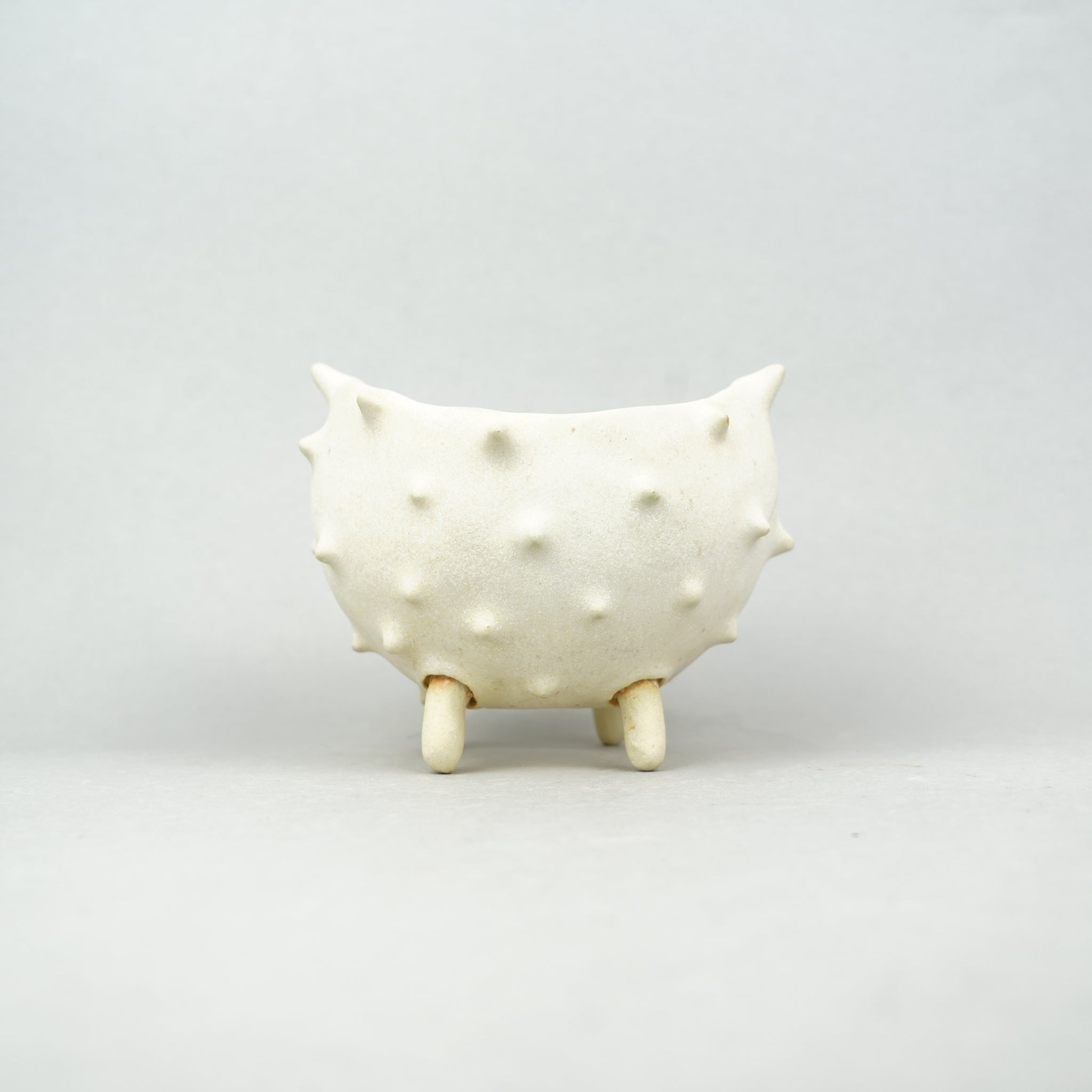 商品一覧/植木鉢 – Hachi-8