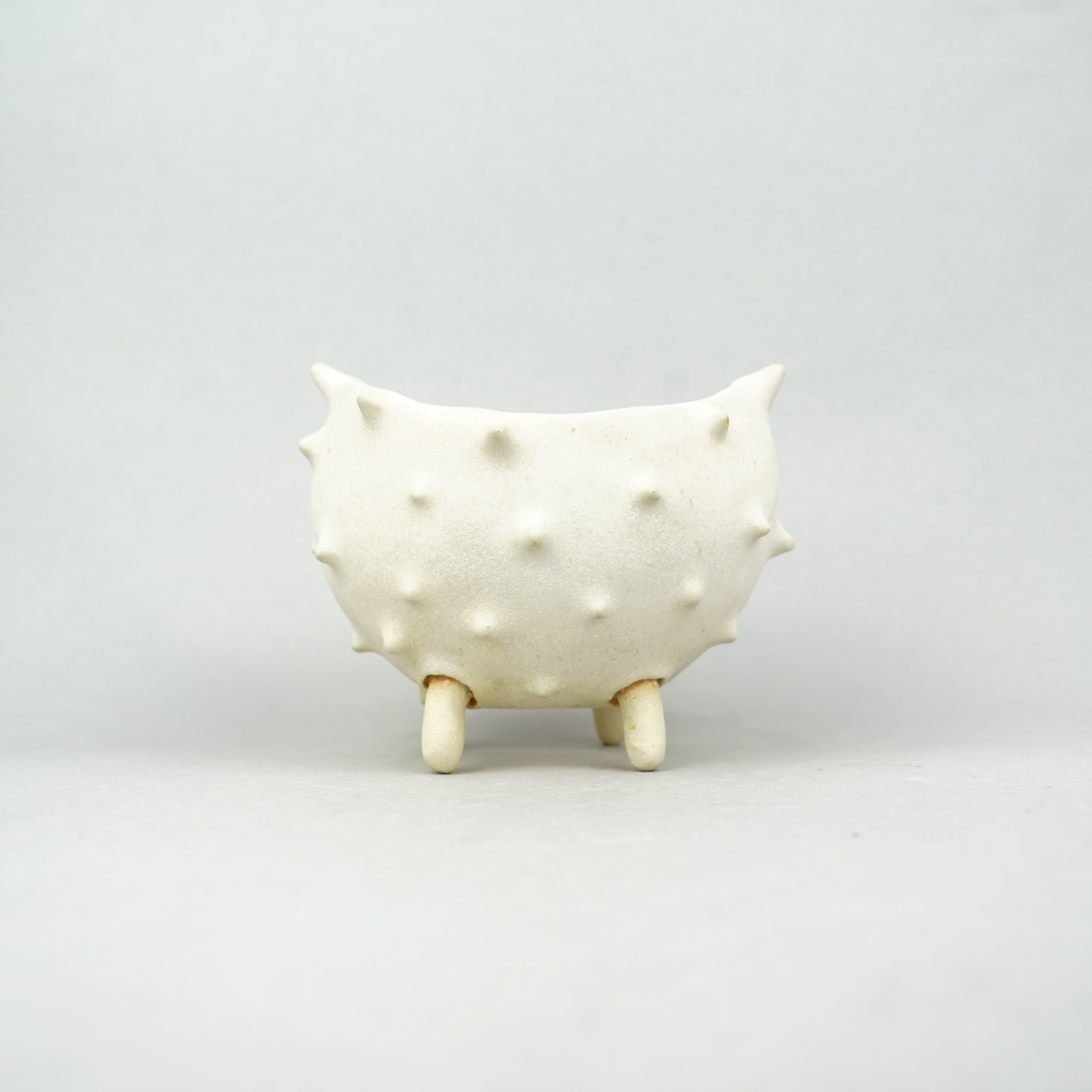 商品一覧/植木鉢 – Hachi-8