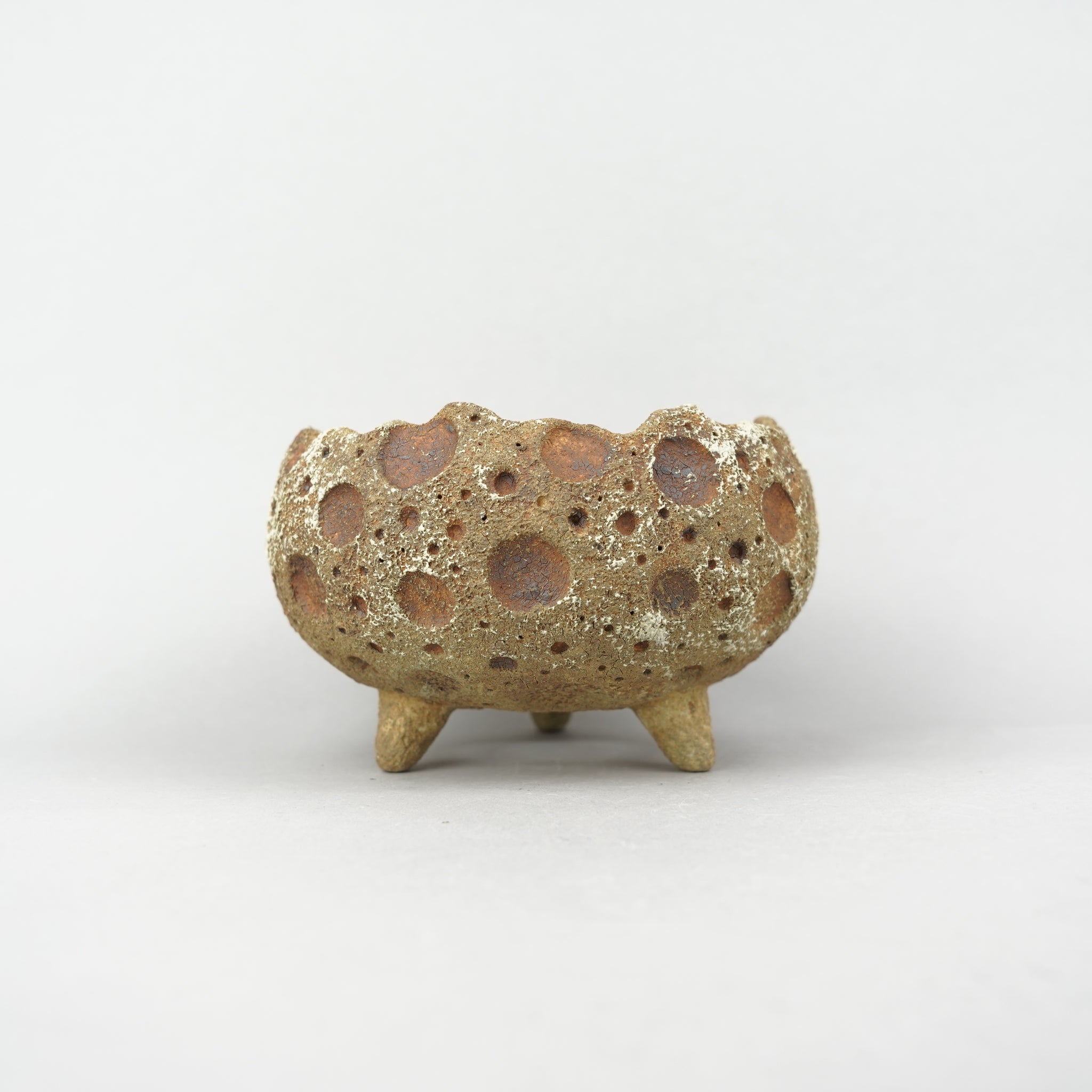 植木鉢/49nSS-shosho – Hachi-8