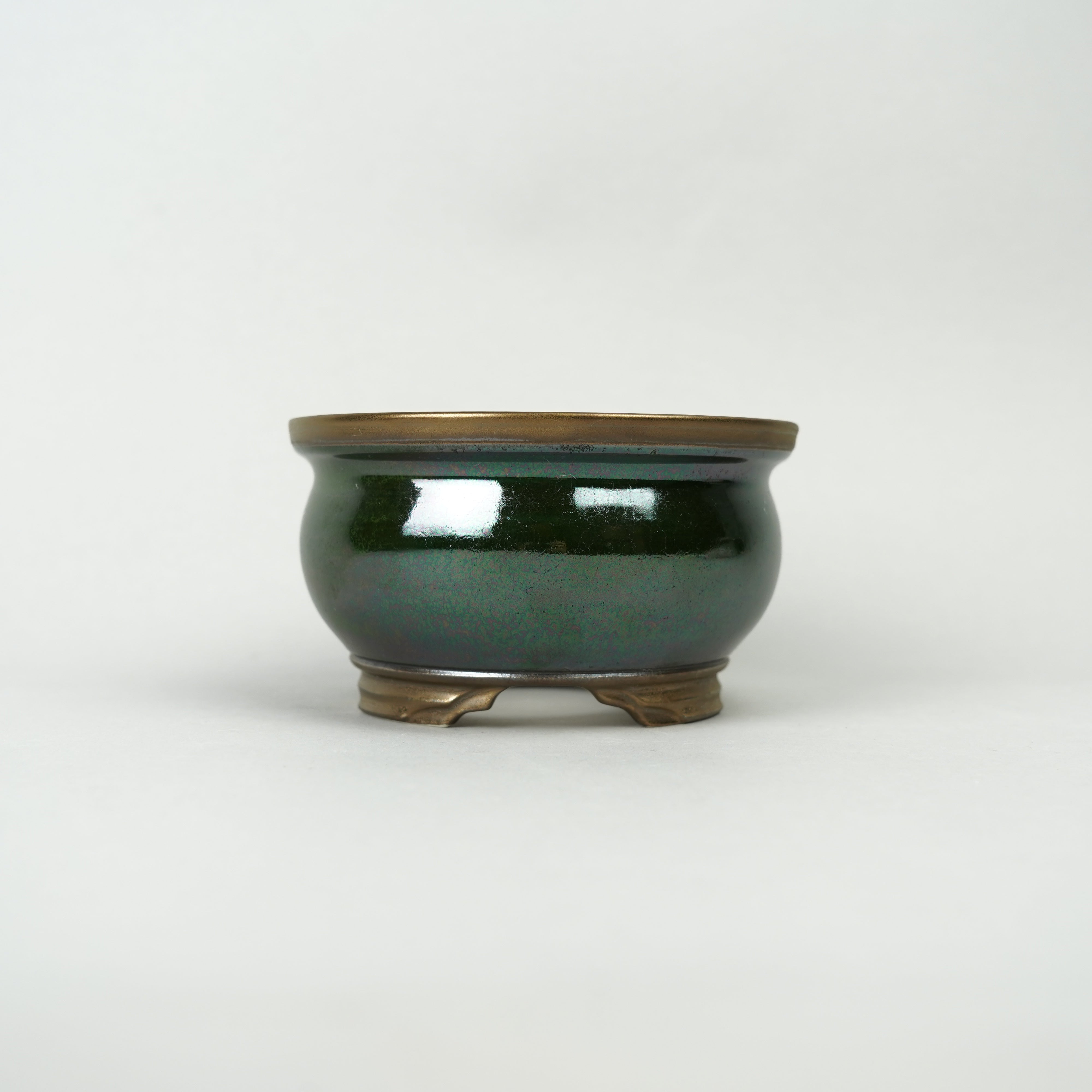 おしゃれな植木鉢や珍しい観葉植物を販売｜鉢と植物専門店 HACHI-8