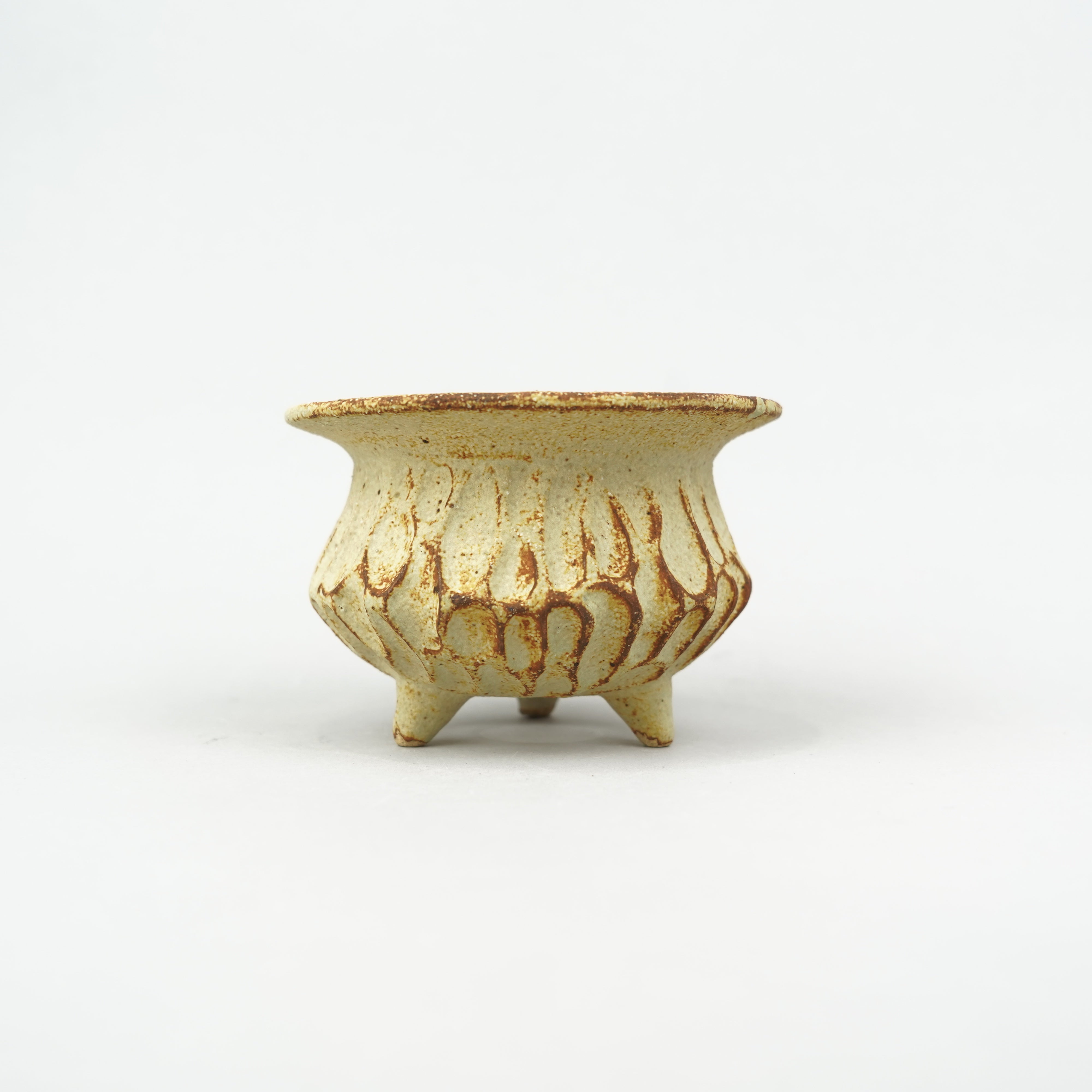植木鉢/49nSS-shosho – Hachi-8
