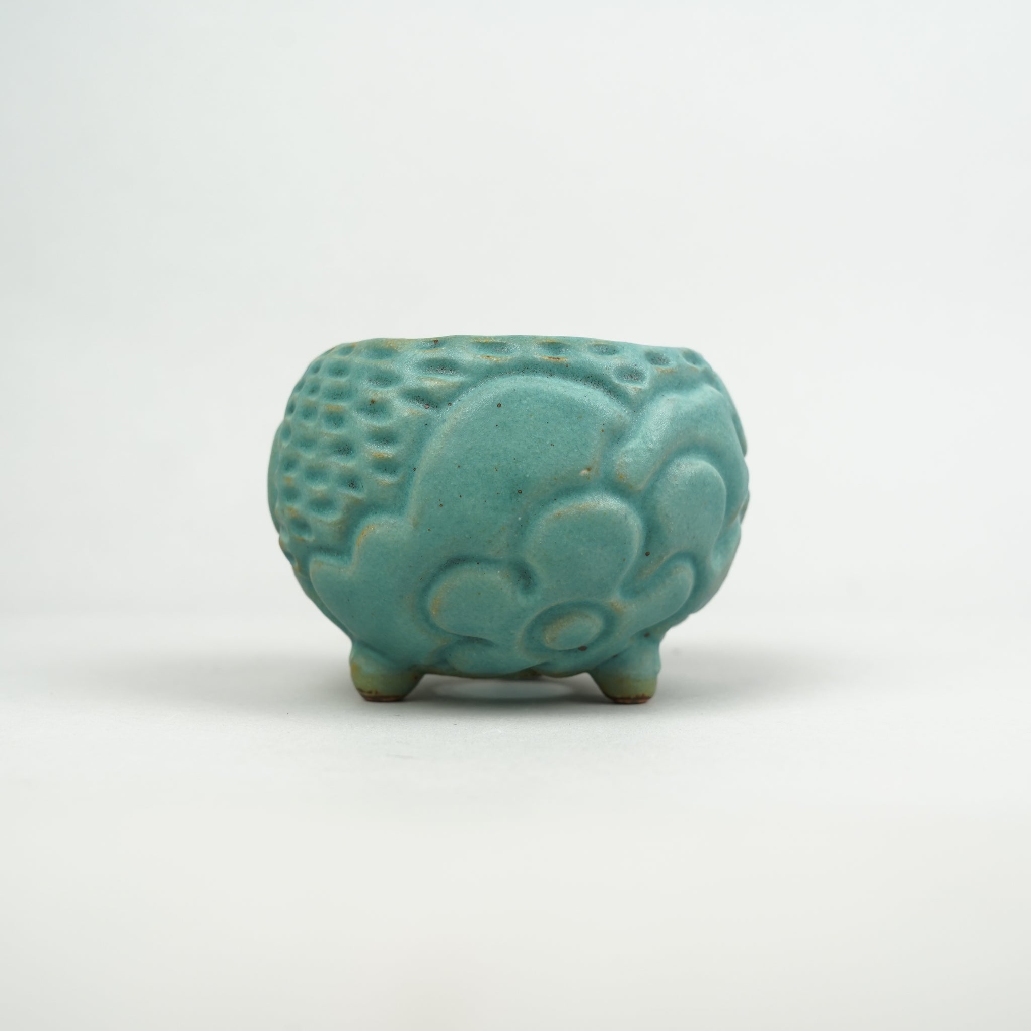 やきものはっち 鉢 プラントポット ハチ（3号）｜ロイヤルガーデナーズクラブ公式通販