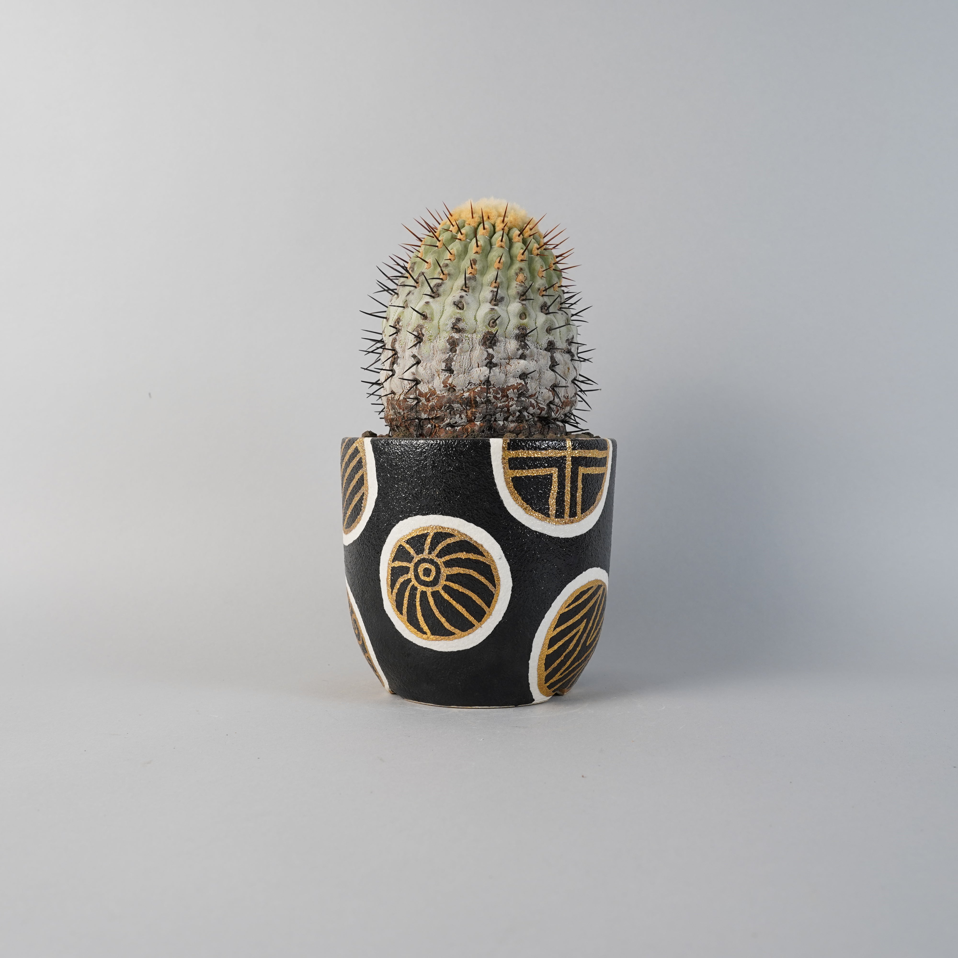 plantpot – Hachi-8