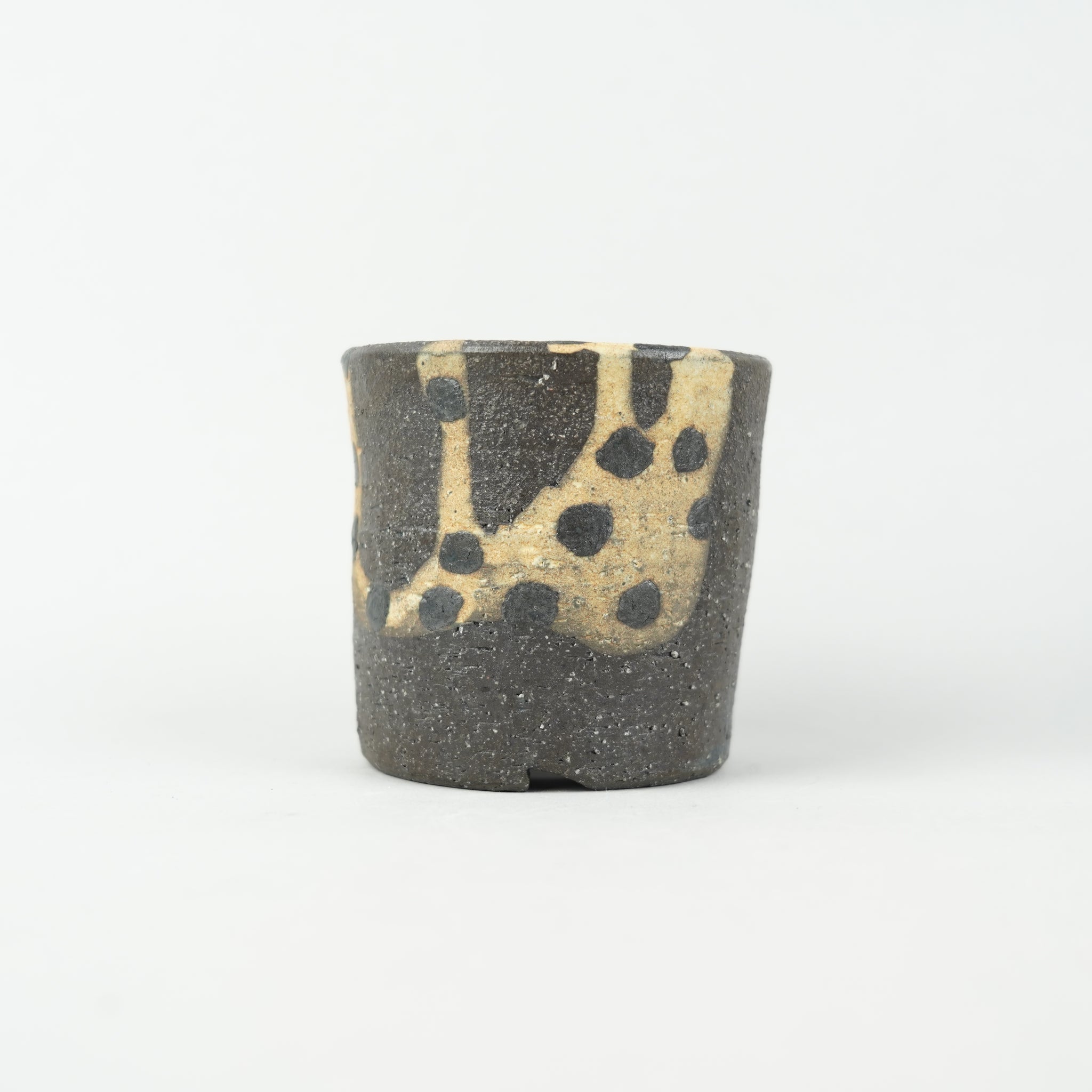 鉢と植物専門店 HACHI-8【公式通販】｜塊根植物・パキポディウム