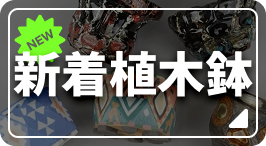 おしゃれな植木鉢や珍しい観葉植物を販売｜鉢と植物専門店 HACHI-8