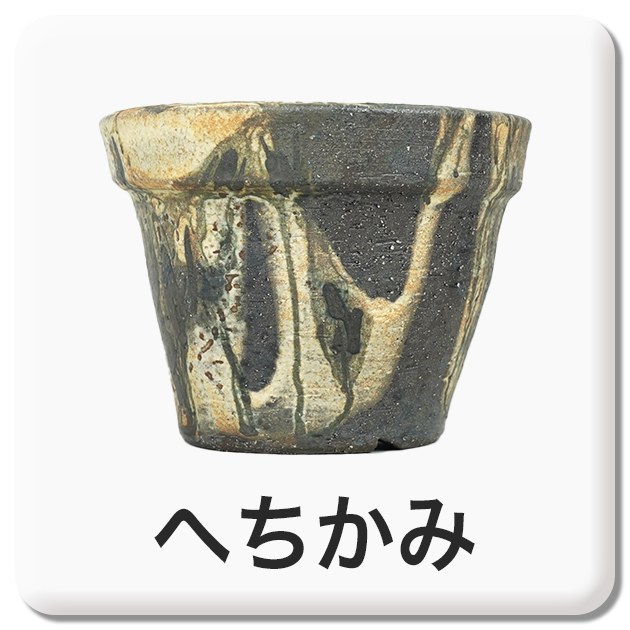 おしゃれな植木鉢や珍しい観葉植物を販売｜鉢と植物専門店 HACHI-8