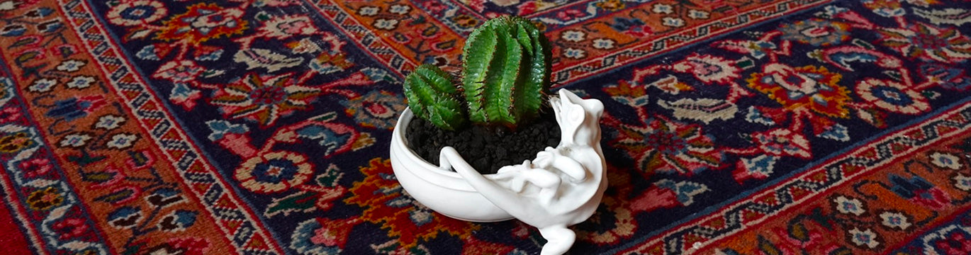 植木鉢/25nHA/洞亜希 – Hachi-8